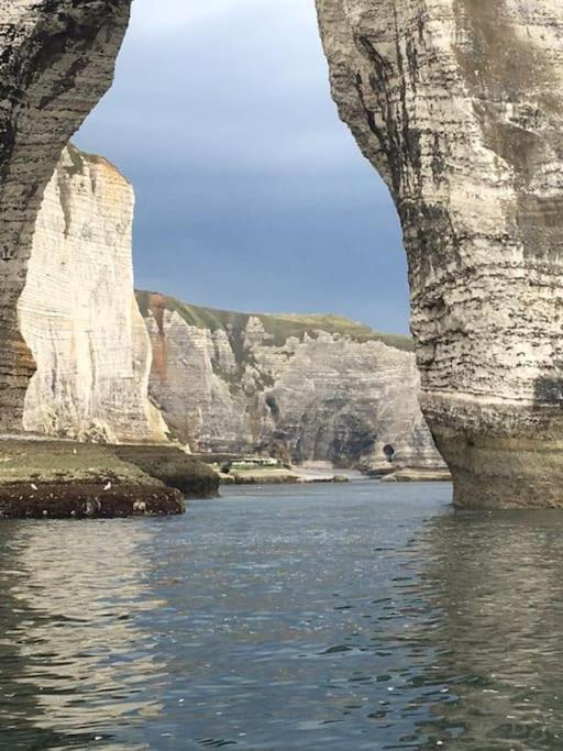 Les Tamaris, Villa Face A La Mer, Emplacement Privilegie Veulettes-sur-Mer Dış mekan fotoğraf